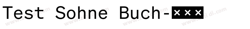 Test Sohne Buch字体转换